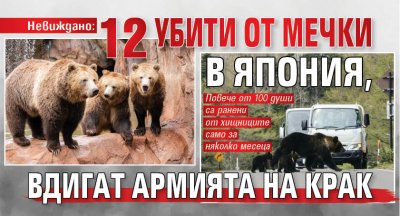Невиждано: 12 убити от мечки в Япония, вдигат армията на крак 
