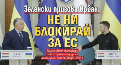 Зеленски призова Орбан: Не ни блокирай за ЕС