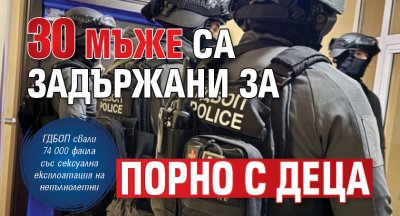 30 мъже са задържани за порно с деца