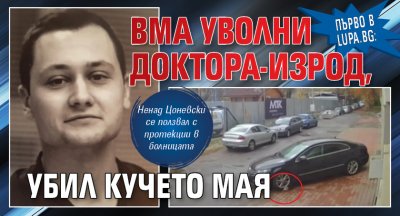 Първо в Lupa.bg: ВМА уволни доктора-изрод, убил кучето Мая