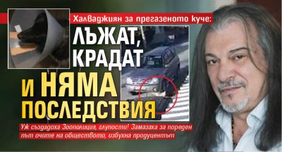 Халваджиян за прегазеното куче: Лъжат, крадат и няма последствия