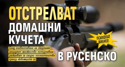 Психопат вилнее! Отстрелват домашни кучета в Русенско