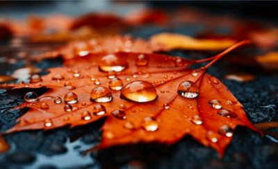 Не забравяйте гумените ботуши - чакат на валежи и мъгли