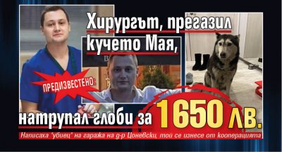 Предизвестено: Хирургът, прегазил кучето Мая, натрупал глоби за 1650 лв.