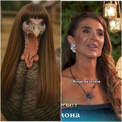 Ето с кои животни сравниха момите от "Ергенът: Любов в рая"