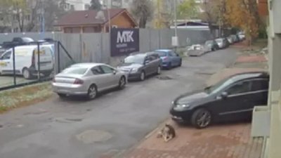 Извергът-хирург получава до 5 години затвор!