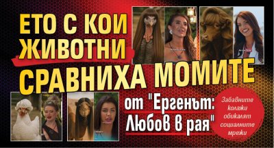 Ето с кои животни сравниха момите от "Ергенът: Любов в рая"