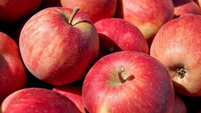 По една на ден - друг път: С 36% са поскъпнали българските ябълки