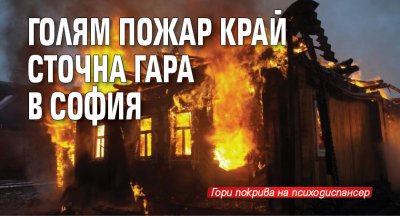 Голям пожар край Сточна гара в София
