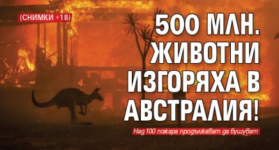 500 млн. животни изгоряха в Австралия! (СНИМКИ +18)