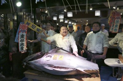 Кръчмар брои $1,8 млн. за риба тон
