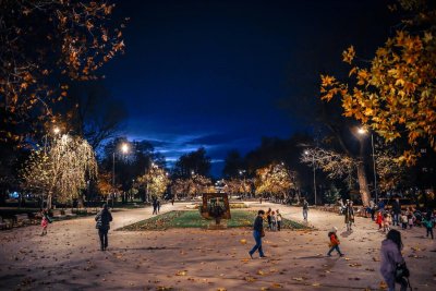 Парк "Заимов" светна