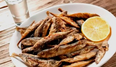 Сафридът, чернокопът и паламудът изчезнаха от Черно море