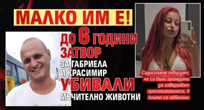 Малко им е! До 6 години затвор за Габриела и Красимир убивали мъчително животни 