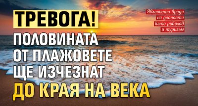 Тревога! Половината от плажовете ще изчезнат до края на века