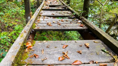 Стойте си вкъщи! 80% от туристическите пътеки в България са опани