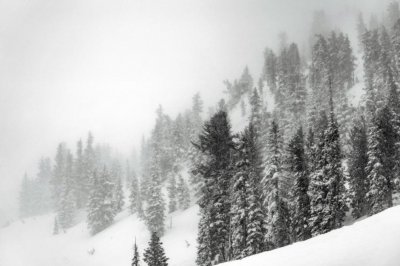 Петима чуждестранни туристи загинаха при снежна буря в Чили