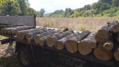 Крият крадени дърва в коли с двойни тайници в Монтана