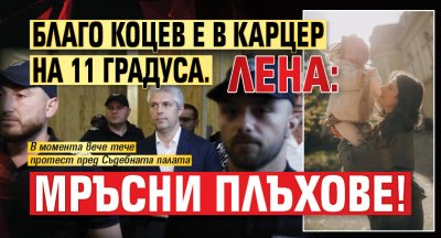 Благо Коцев е в карцер на 11 градуса. Лена: Мръсни Плъхове!