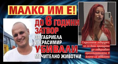 Малко им е! До 6 години затвор за Габриела и Красимир убивали мъчително животни 