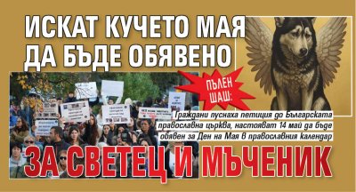 Пълен шаш: Искат кучето Мая да бъде обявено за светец и мъченик 