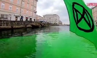  Канале Гранде позеленя (ВИДЕО)