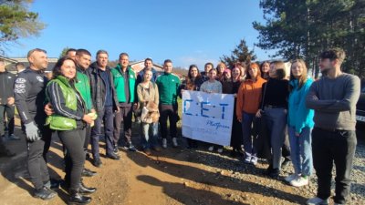 13 хил. дръвчета бяха засадени на мястото на опожарена гора край Стара Загора