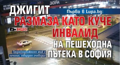 Първо в Lupa.bg: Джигит размаза като куче инвалид на пешеходна пътека в София (ВИДЕО)