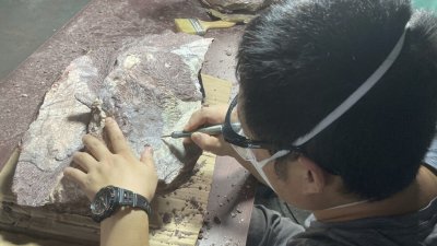 Учени откриха следи от живот на Земята отпреди 3,3 милиарда години