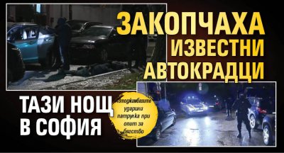 Закопчаха известни автокрадци тази нощ в София (СНИМКИ)