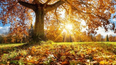 Термометрите удрят 22 градуса през уикенда