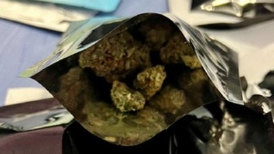 Заловиха 30 кг канабис, арестувани са седем