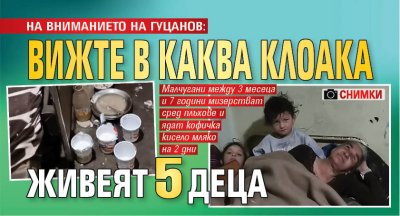 НА ВНИМАНИЕТО НА ГУЦАНОВ: Вижте в каква клоака живеят 5 деца (СНИМКИ)