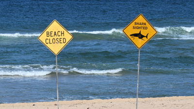 Акула уби жена и рани мъж в Австралия