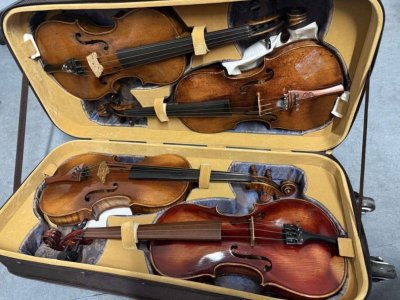 Хванаха британец, опитал да внесе в страната недекларирани цигулки