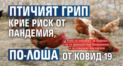 Птичият грип крие риск от пандемия, по-лоша от КОВИД-19