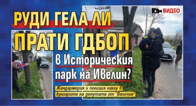 Руди Гела ли прати ГДБОП в Историческия парк на Ивелин? (ВИДЕО)