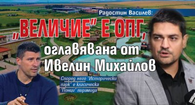 Радостин Василев: "Величие" е ОПГ, оглавявана от Ивелин Михайлов