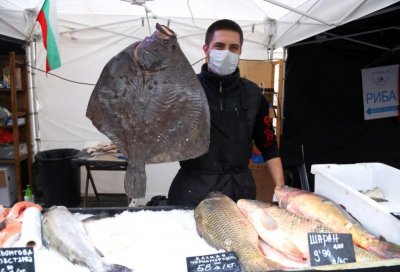 В навечерието на Никулден: Уникален рибен фест в София, Бургас и Варна