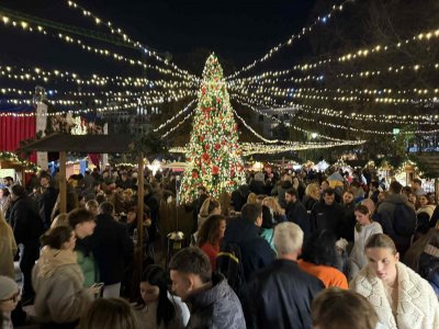 Коледната елха в София грейва на 2 декември