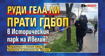 Руди Гела ли прати ГДБОП в Историческия парк на Ивелин? (ВИДЕО)