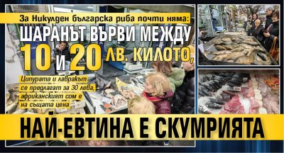 За Никулден българска риба почти няма: Шаранът върви между 10 и 20 лв. килото, най-евтина е скумрията