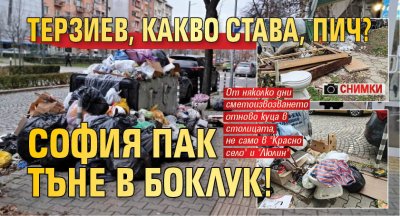 Терзиев, какво става, пич? София пак тъне в боклук! (СНИМКИ)