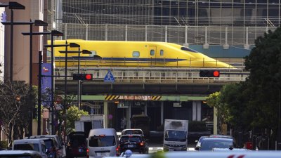 Лебед на релсите насмете японските влакове-стрела