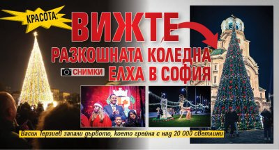 Красота: Вижте разкошната коледна елха в София (снимки)
