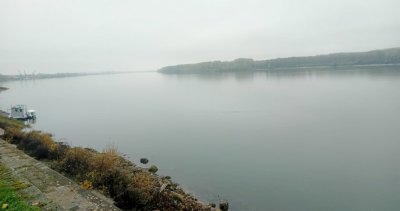 Въведоха безсрочна забрана за улов на есетрови риби в Дунав и Черно море