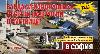 УЖАС: Вандали изпотрошиха десетки надгробни паметници в София (СНИМКИ)
