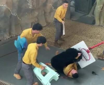 Работник в китайски зоопарк бе нападнат от гладна малайска мечка