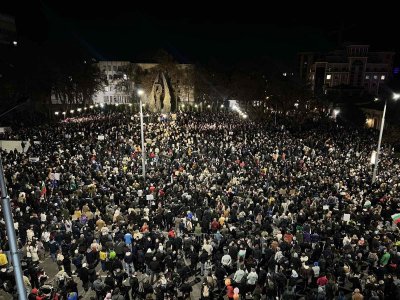 МИХАИЛ ВЕШИМ в Стършел Всички почнахме да разбираме от бюджет