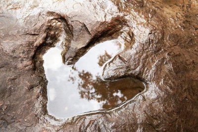 Според легендите огромните отпечатъци разпръснати из централните планини на Боливия